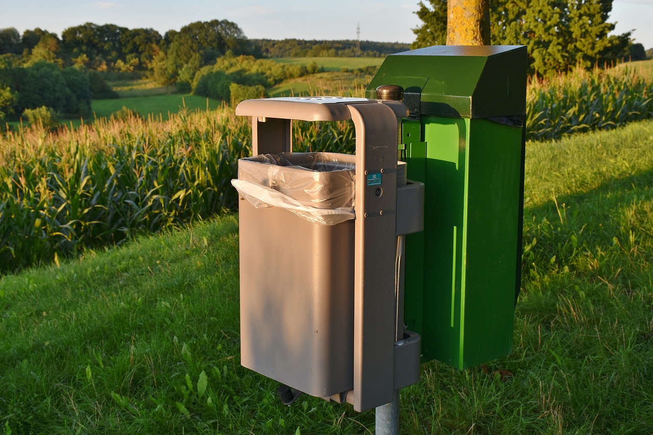 The Role of Public Awareness in Recycling Success